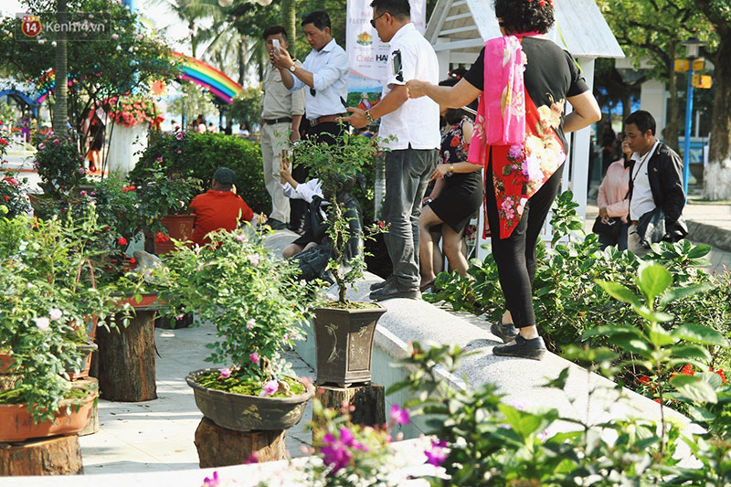 Hình ảnh xấu xí tại lễ hội hoa hồng Bulgaria: Người dân trèo rào, kéo hoa bất chấp để chụp ảnh